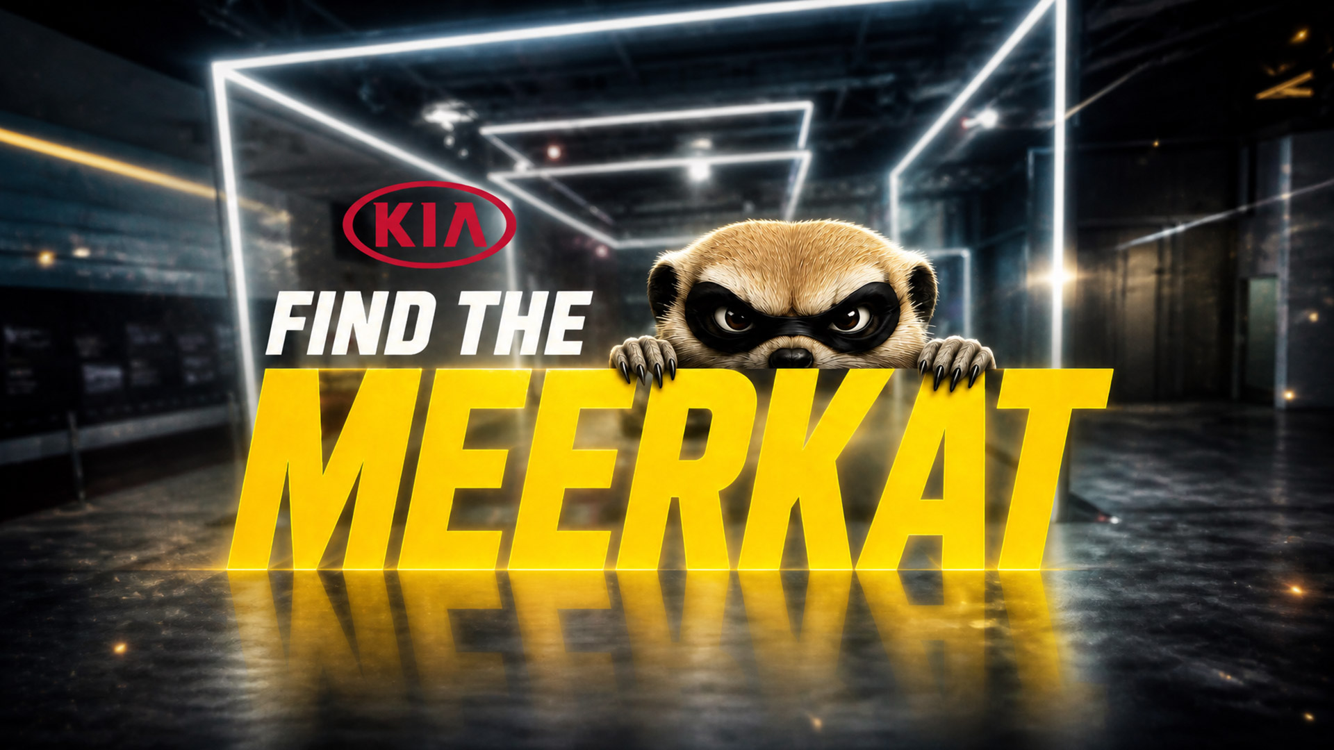 Ffnd-the-meerkat-centered